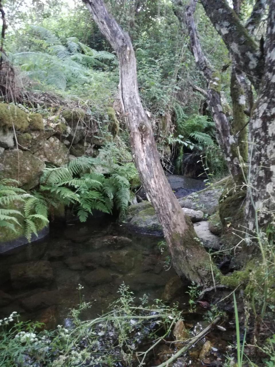 Casa Rural Mirador Del Valle Cepeda 外观 照片